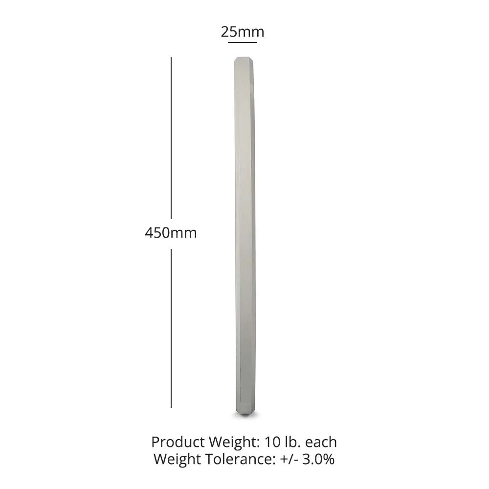 TITAN (2 PACK) 10 Lb Economy Color Bumper Plates, Grey 430346