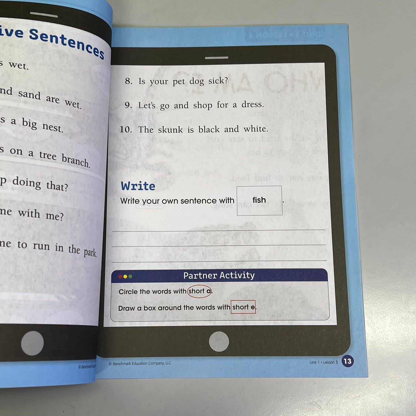 BENCHMARK EDUCATION (35 Book, 7 Unit Set) Classroom Phonics Intervention Level 3