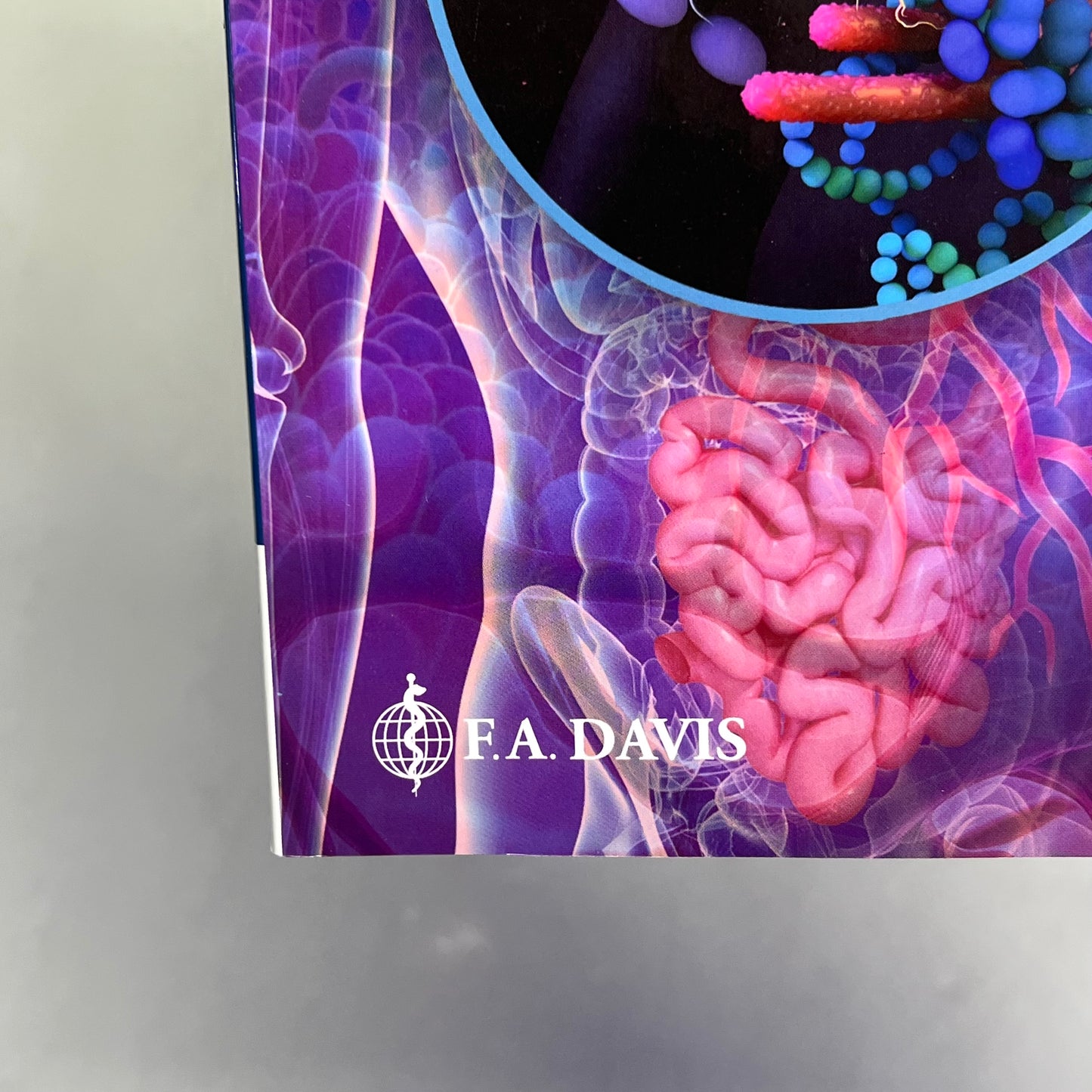 UNDERSTANDING ANATOMY & PHYSIOLOGY 4th Edition Paperback Book F.A. DAVIS