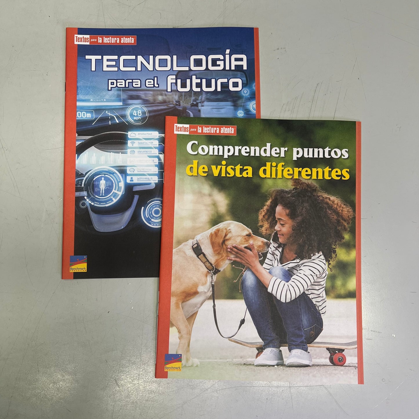 BENCHMARK EDUCATION (10 SET) Multiple Learning Point Books Grade 4 Spanish Edition