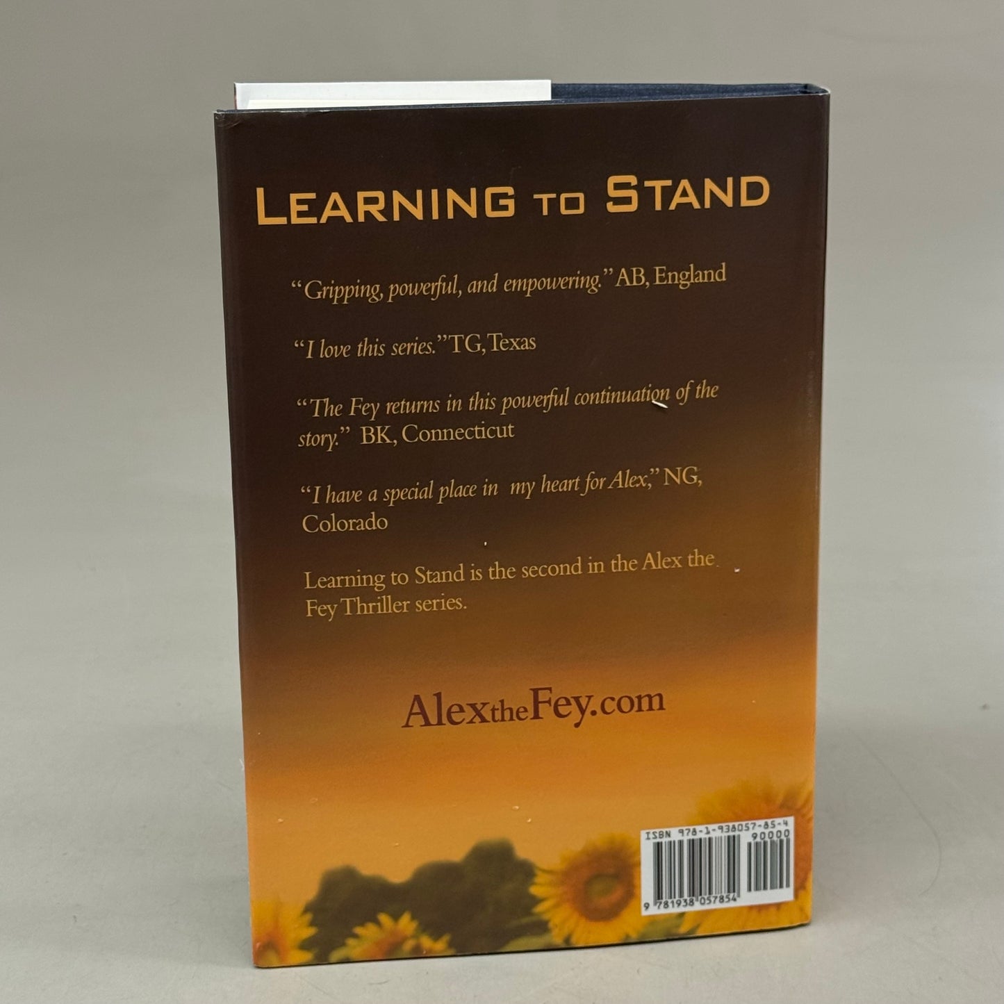 COOK STREET PUBLISHING  (Hardcover) Learning to Stand  Claudia Hall Christian  Book 2 In The Alex The Fey Thriller Series