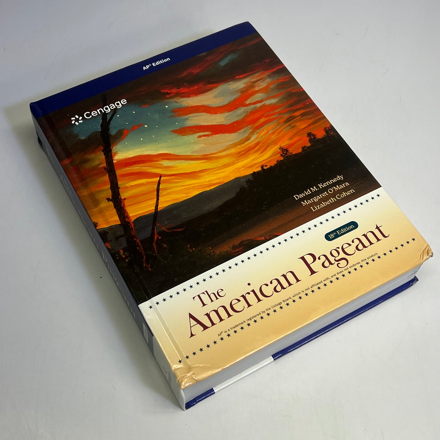 CENGAGE LEARNING The American Pageant 18th Edition Hardback Book AP Edition