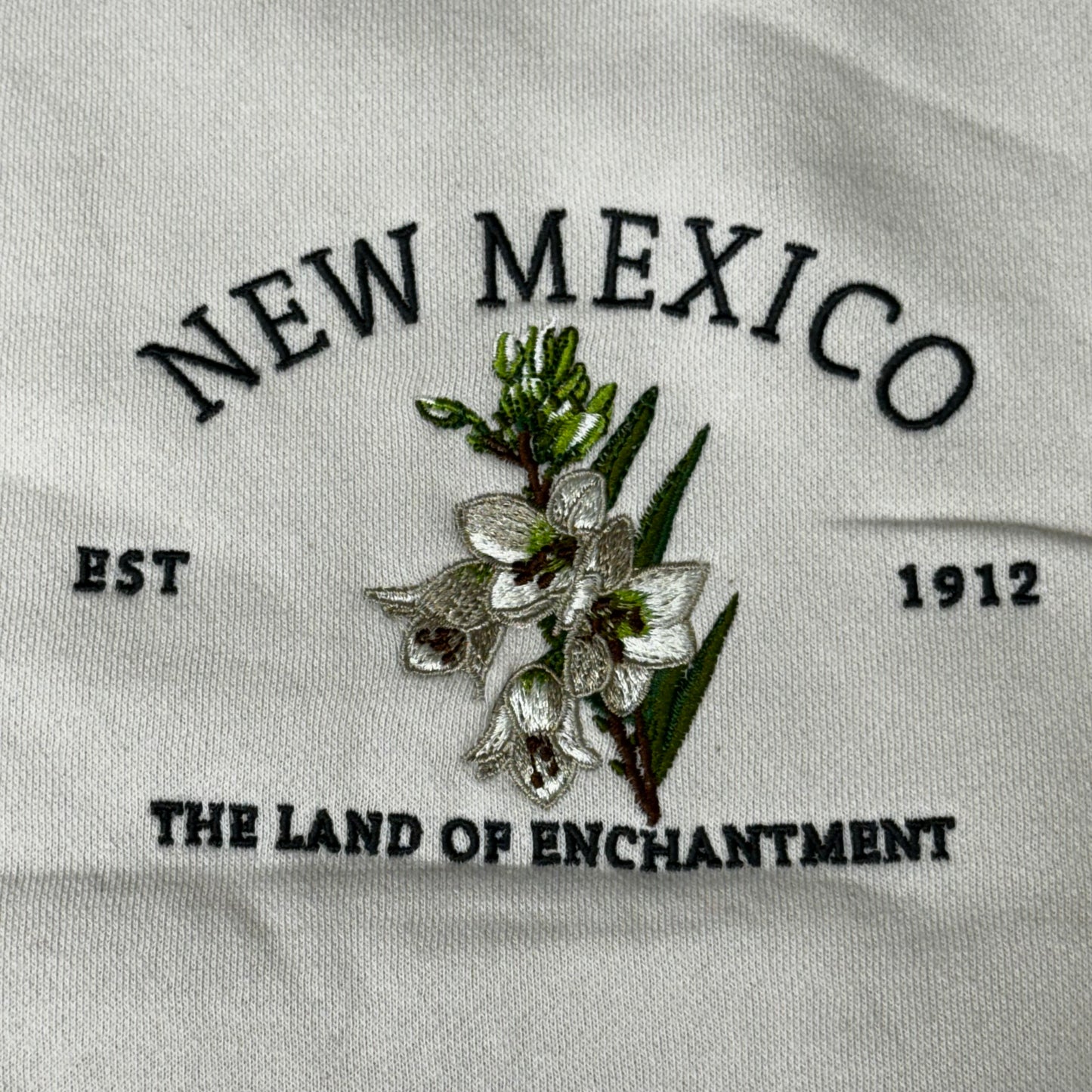 STATE OF MINE New Mexico Embroidered Crewneck Hoodie Stone Women's Sz L 15711