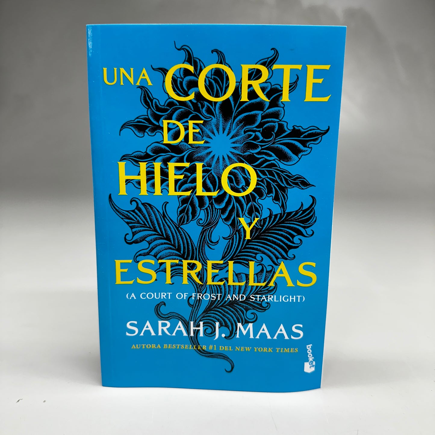 Una Corte De Hielo y Estrellas (Una Corte De Rosas y Espinas #4) (Spanish Edition)