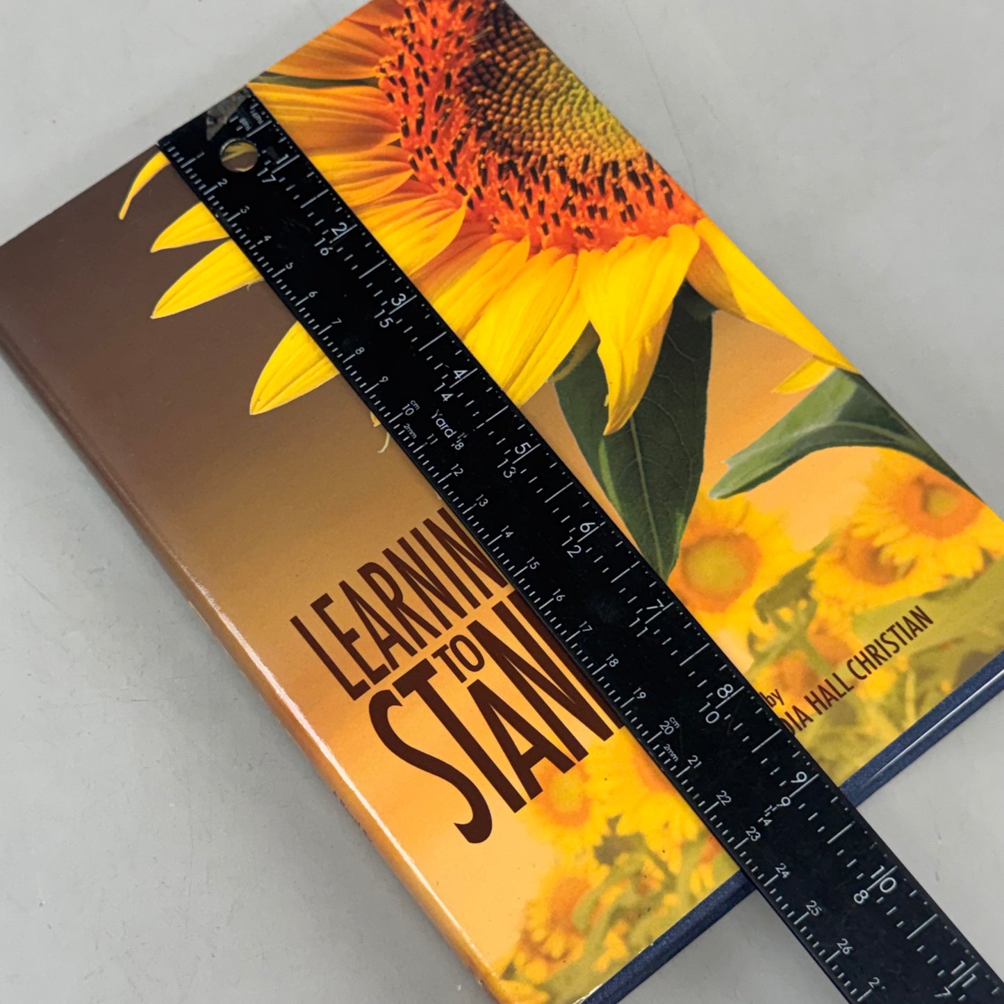 COOK STREET PUBLISHING  (Hardcover) Learning to Stand  Claudia Hall Christian  Book 2 In The Alex The Fey Thriller Series