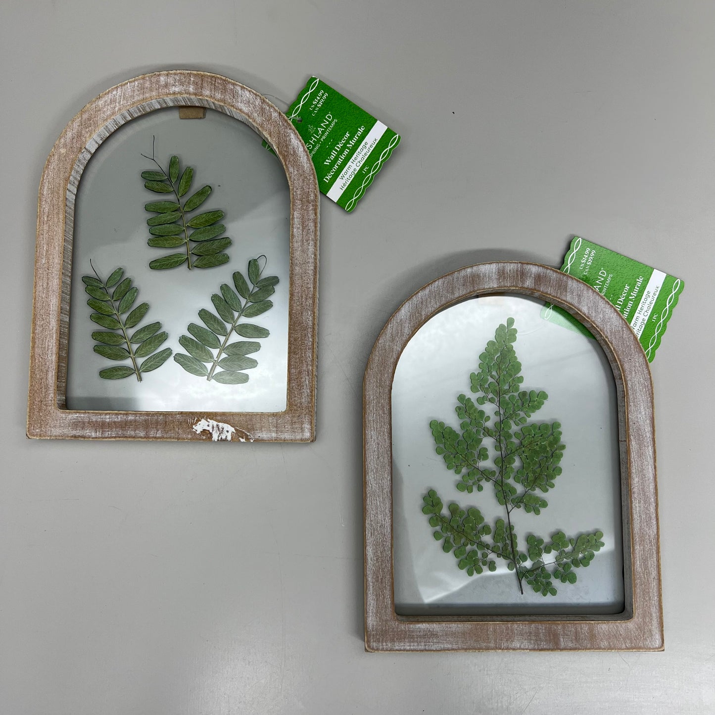 ASHLAND 2 Piece Set of 8in X 6in Wood Framed Hangable Glass Wall Art Plants 73476