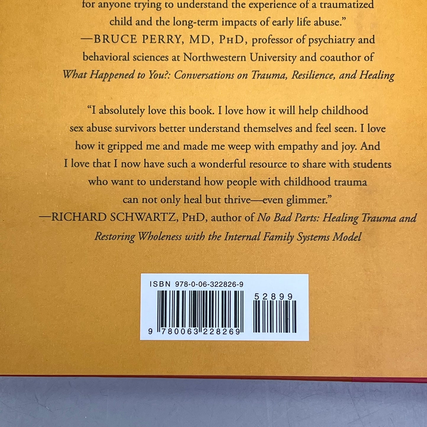 GLIMMER A Child Abuse, Memoir & Women's Biography By Kimberly Shannon Murphy