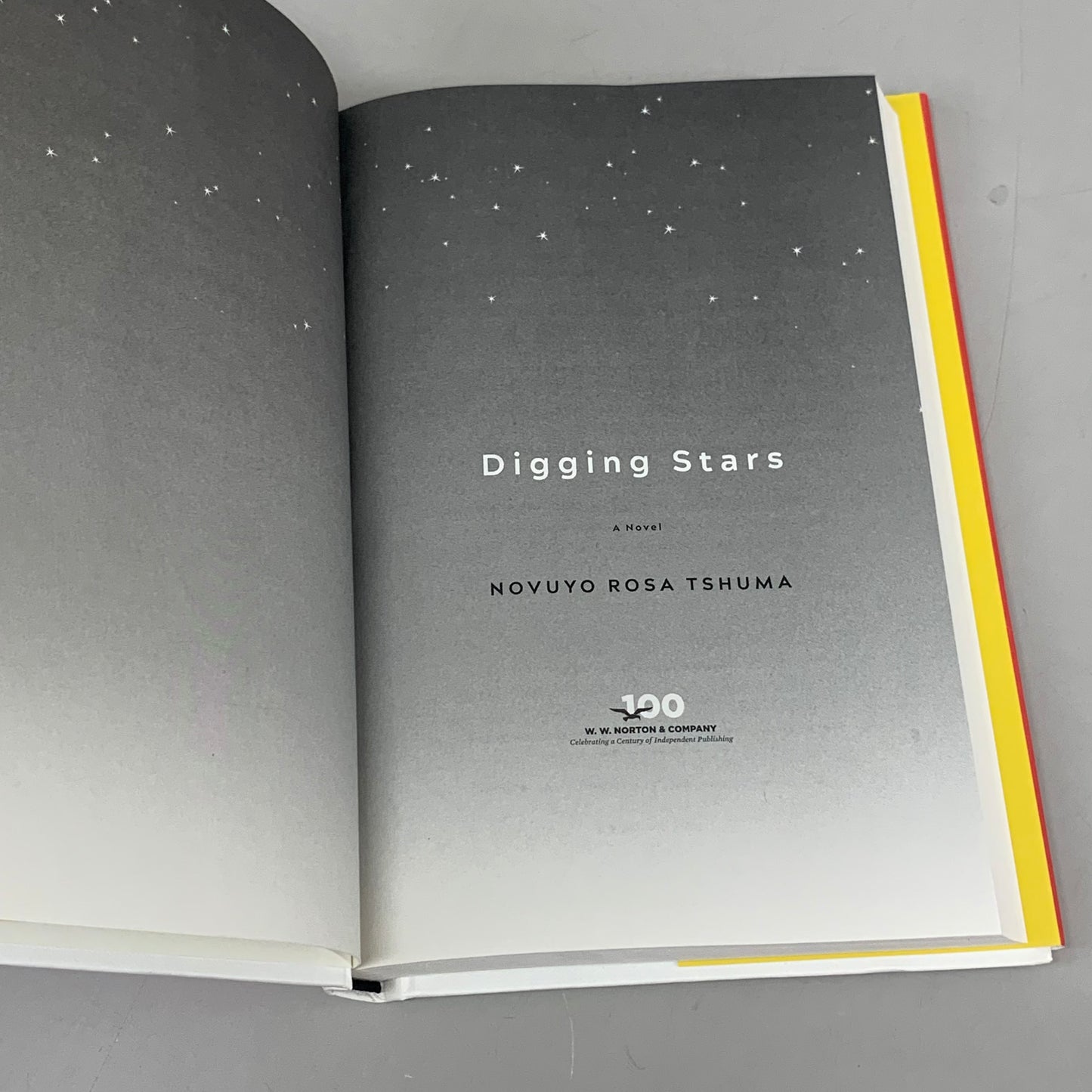 NORTON Novuyo Rosa Tshuma Digging Starts 288 Pages