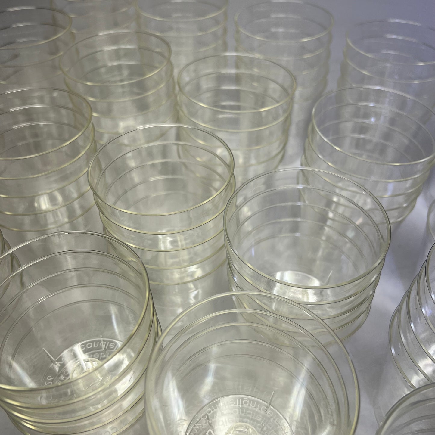 CANDLE LIGHT CELEBRATIONS (200 SET) Holidays & Vigils 100 Cups & Candles White