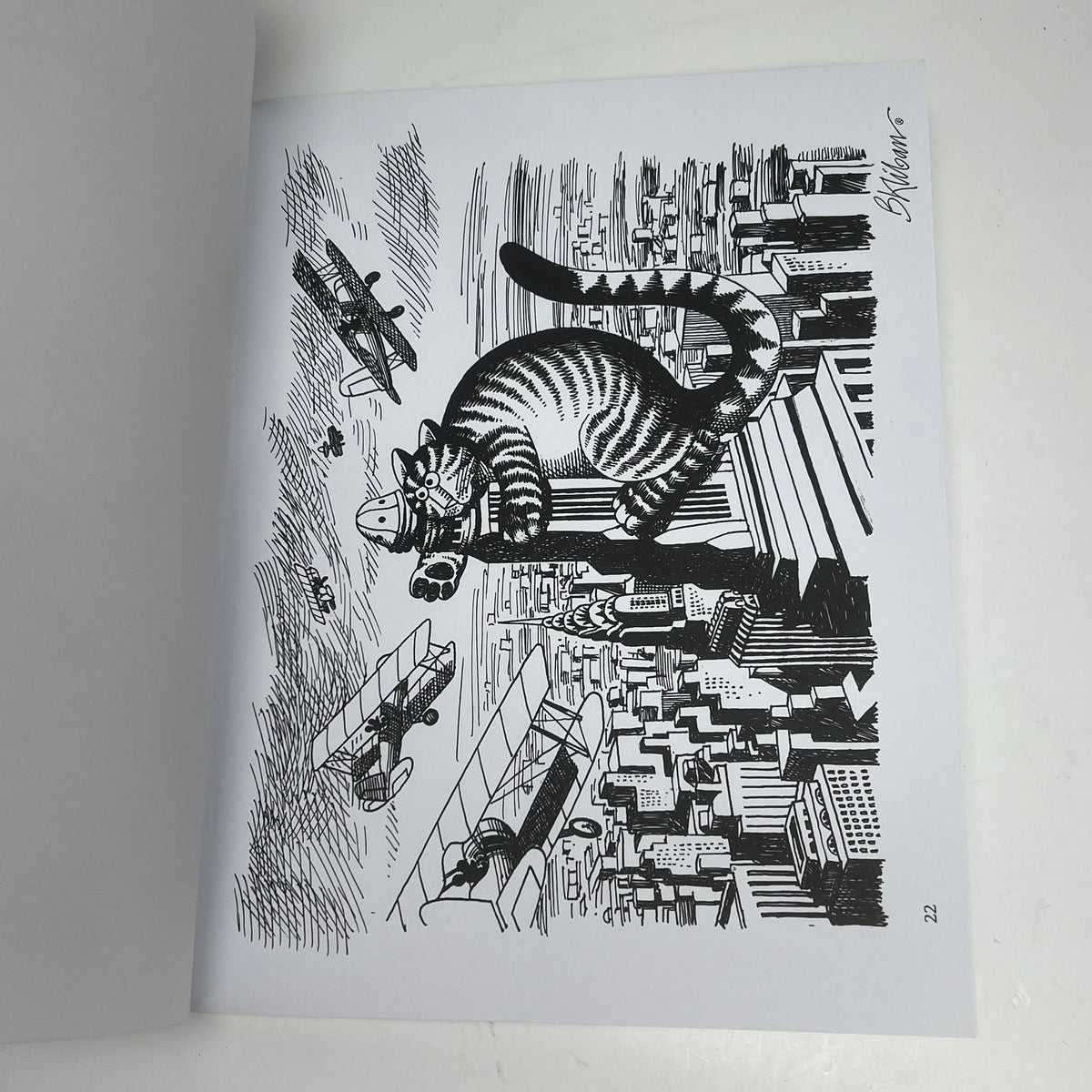 ZA@ POMEGRANATE B. Kliban Catcolor Coloring Book Soft Cover 22 Images