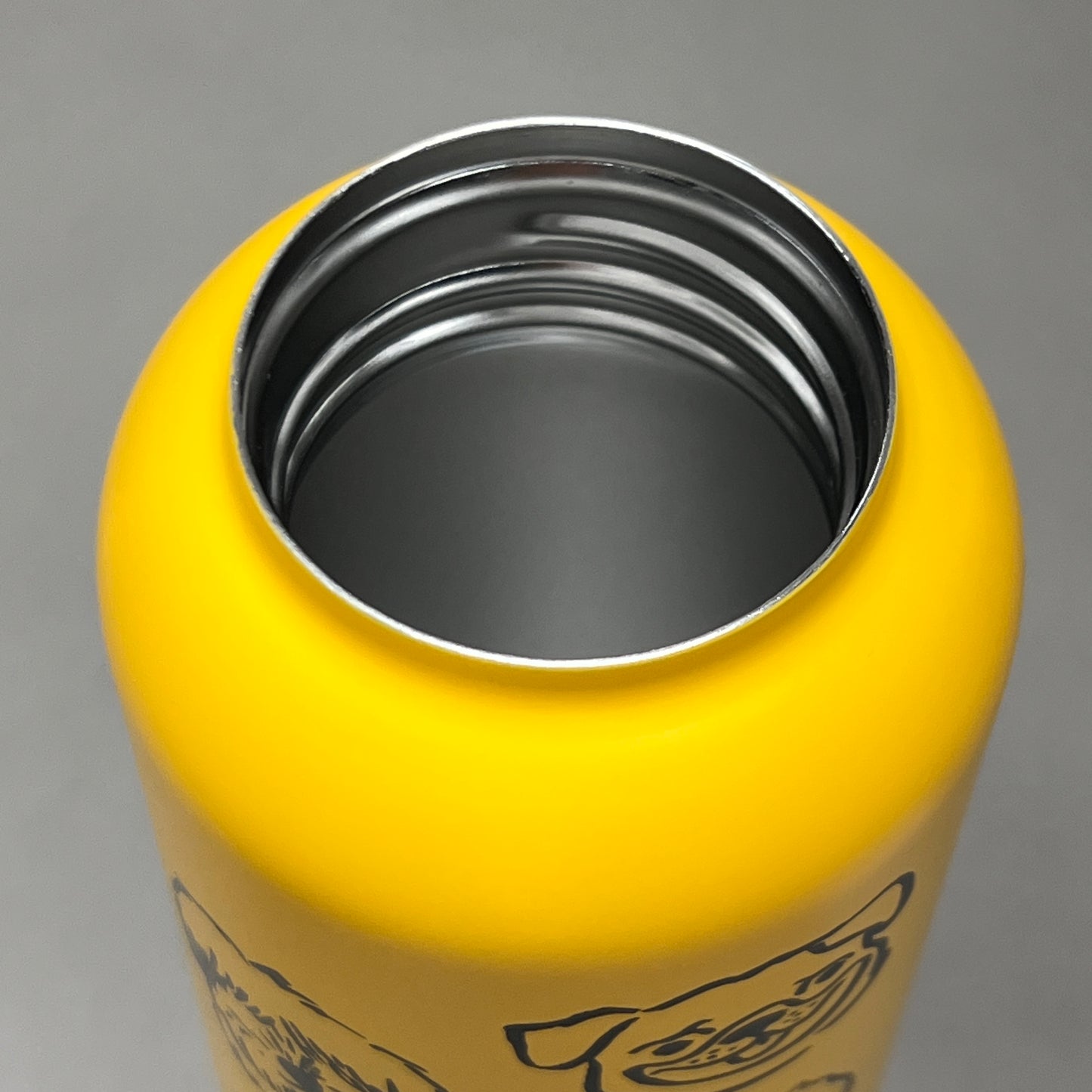DANICA JUBILEE Dog Park Stainless Steel Water Bottle 18 oz/ 530 mL Yellow 5122021 (New)