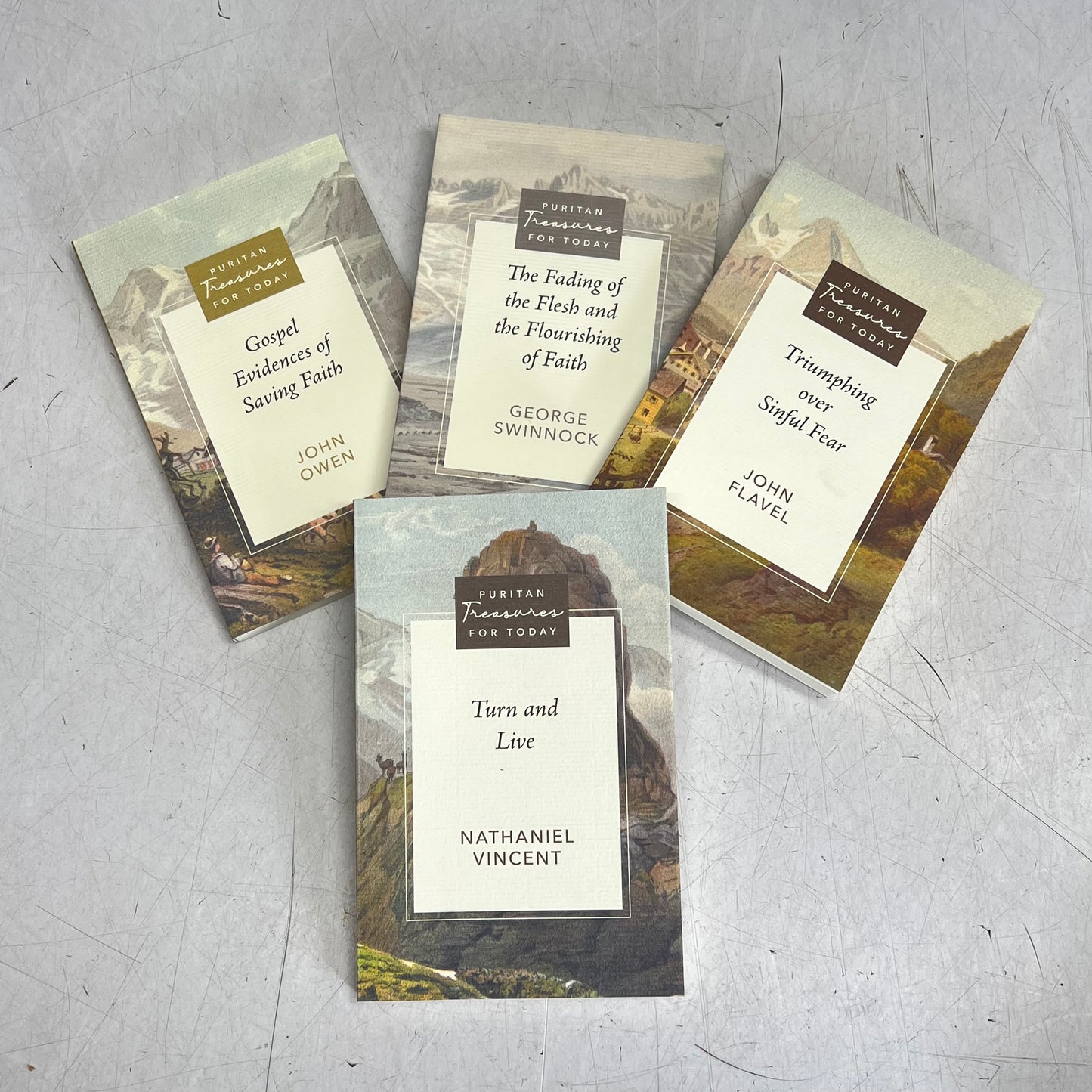 PURITAN TREASURES FOR TODAY 19 Volume Bundle Paperback Books Authentic Faith