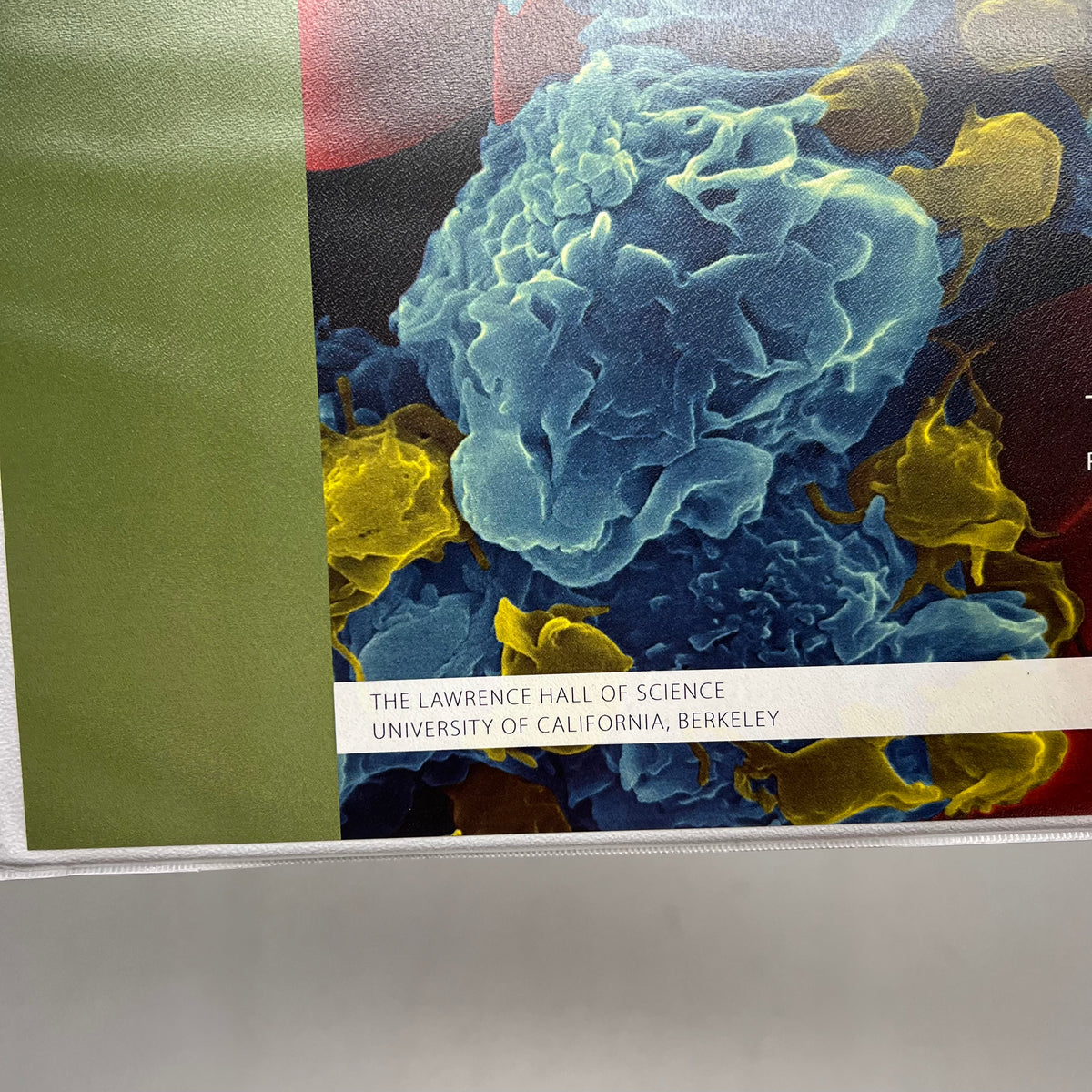LAB AIDS Issues & Life Science Cells To Organisms Teacher Ed 3rd Ed & Bind|er