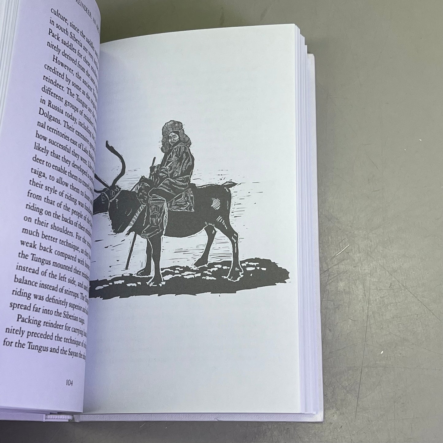 REINDEER AN ARCTIC LIFE  Natural History & Biology Hardback Book By Tilly Smith