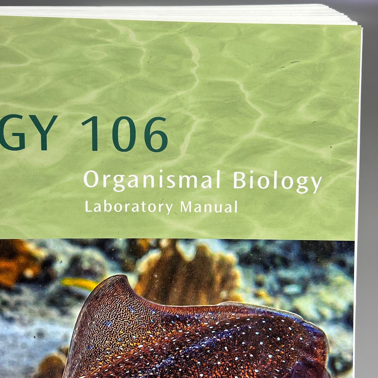 BIOLOGY 106 Organism Biology Spiral Laboratory Manual By Hayden Mcneil 7412-9