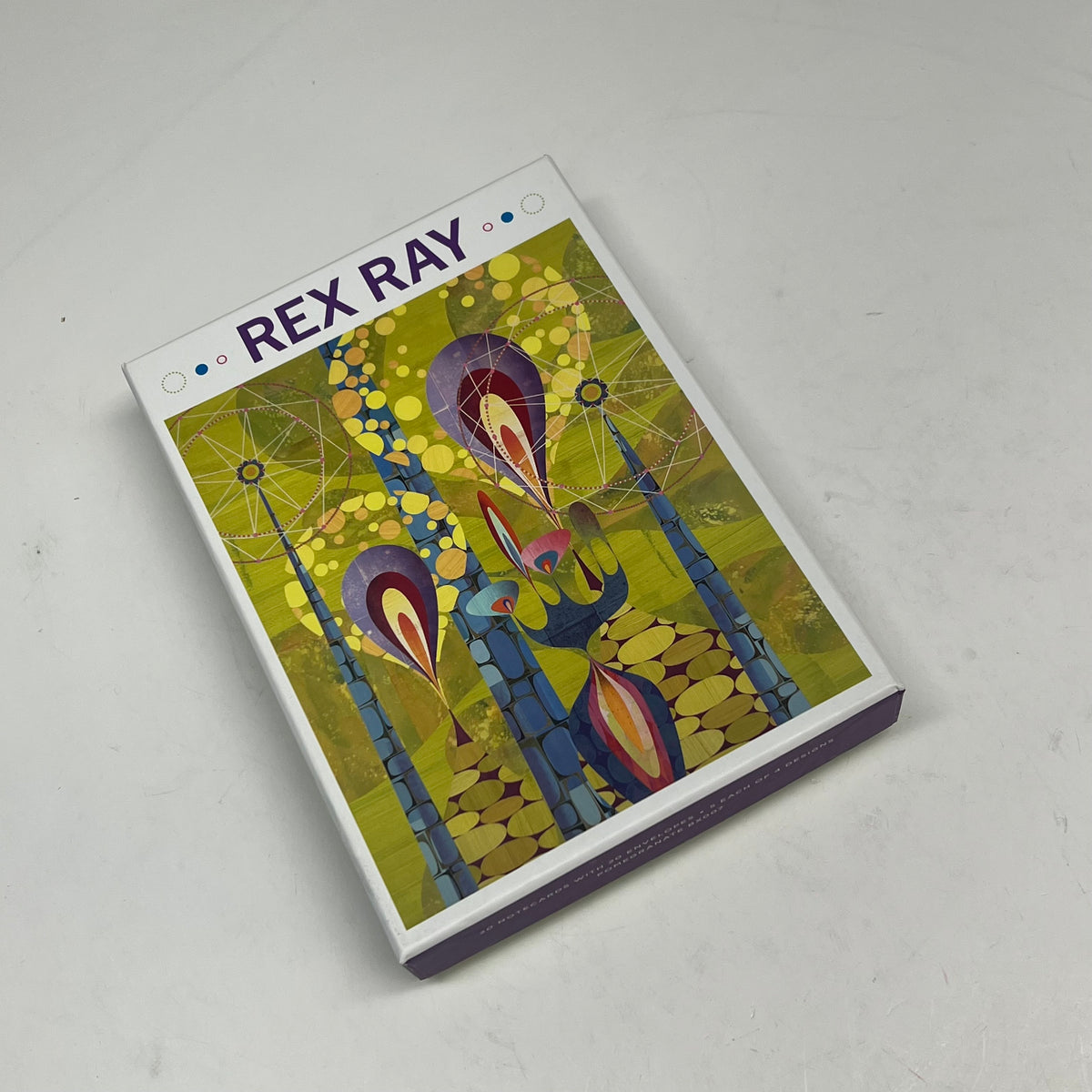 POMEGRANATE (20 PACK) Rexy Ray Art Boxed Notecards W/ Envelopes 4x6" BX007