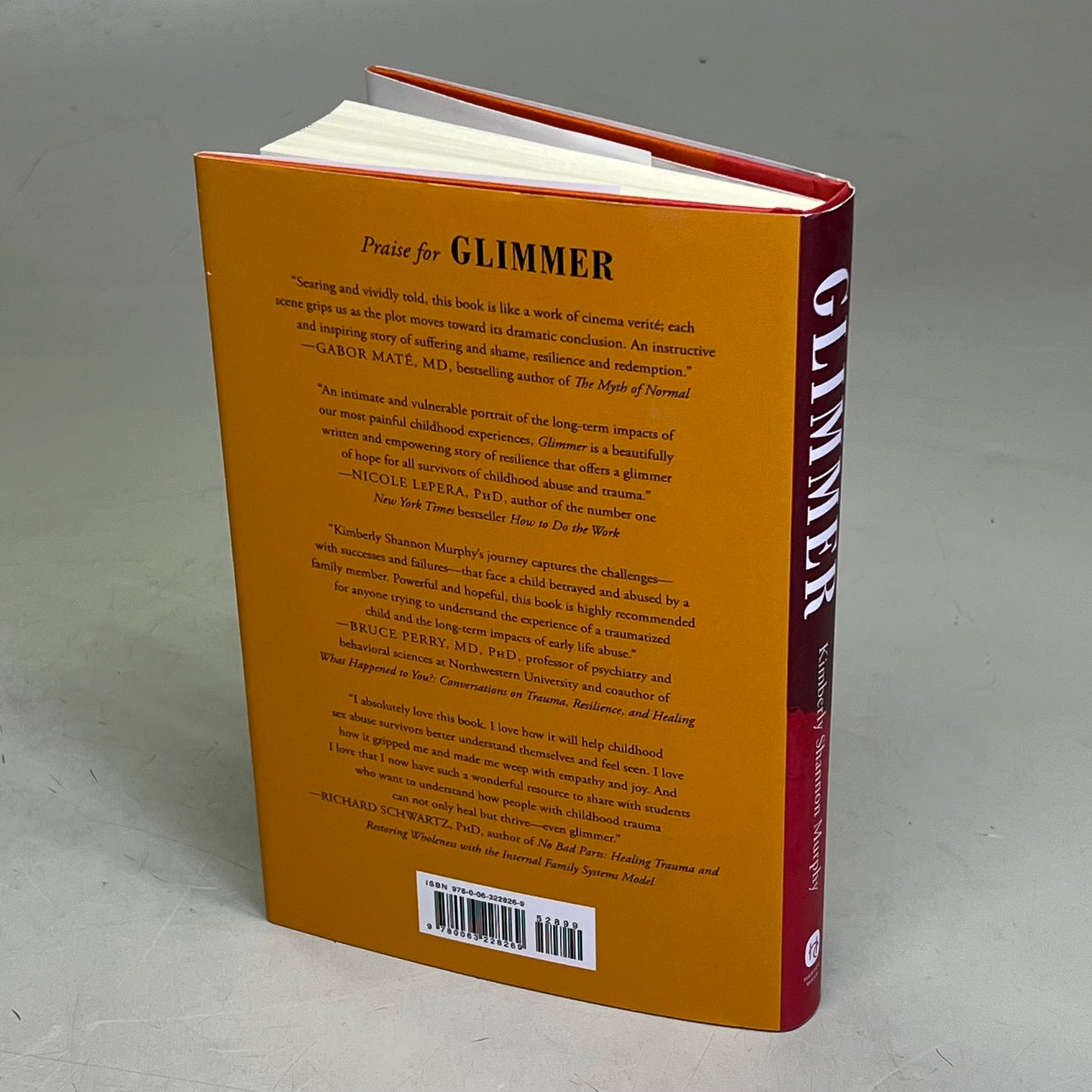 GLIMMER A Child Abuse, Memoir & Women's Biography By Kimberly Shannon Murphy