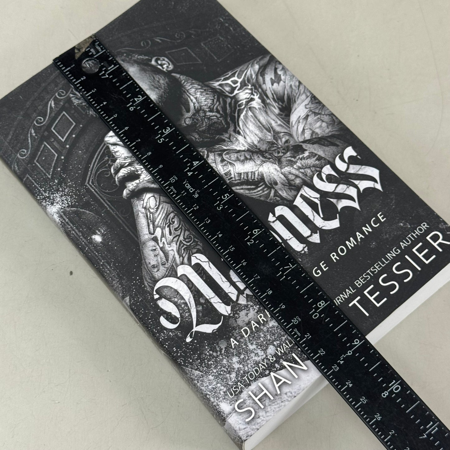 (PaperBack) Madness: a Dark Revenge Romance Shantel Tessier