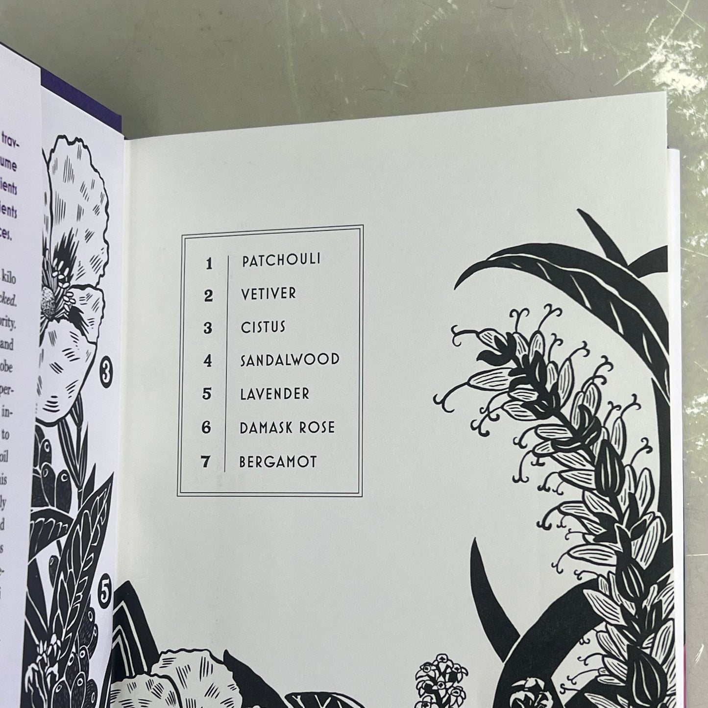 IN SEARCH OF PERFUMES Journey To Natures Scents Hardback Book Dominique Roques