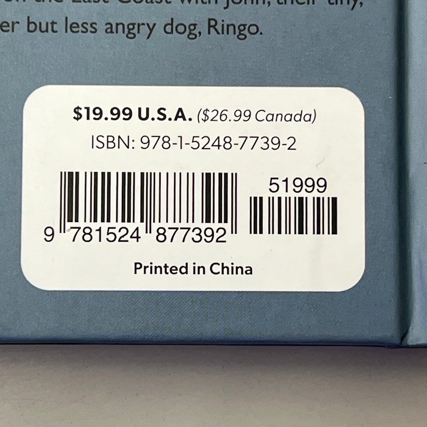 MY HEARTS CONTENT Hardcover Comic, Journal & Sticker Book By Catana Chetwynd