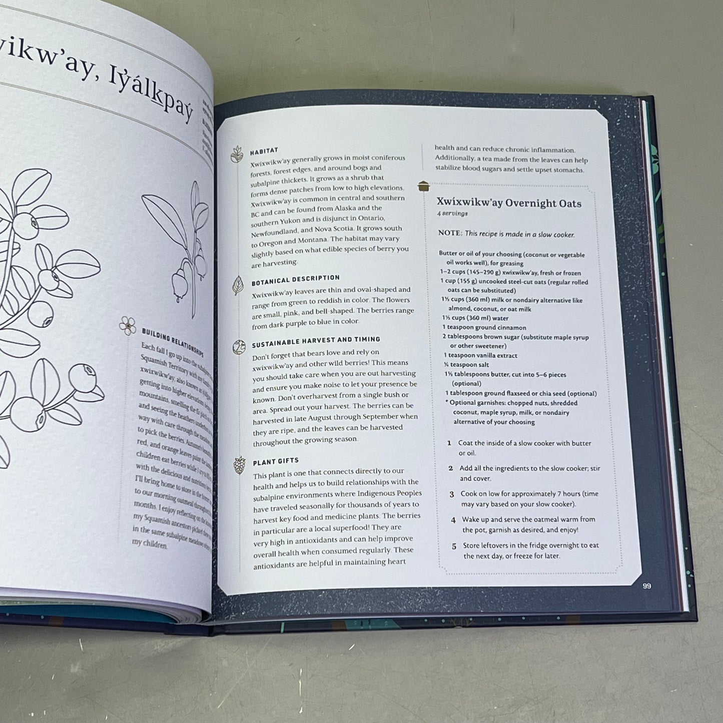 HELD BY THE LAND A Guide To Indigenous Plants For Wellness By Leigh Joseph