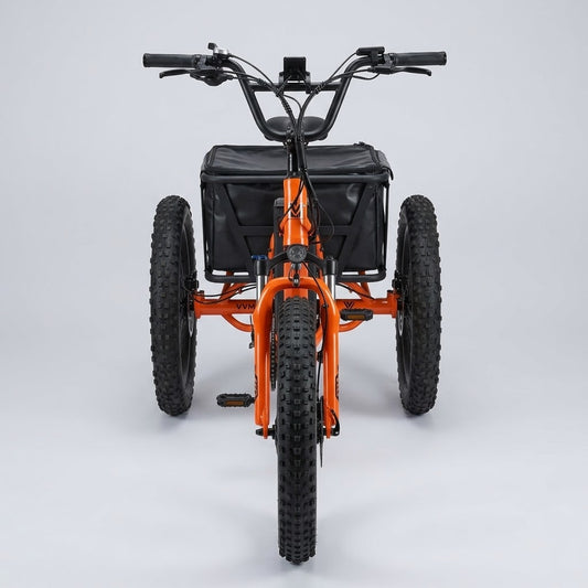 VIRIBUS Folding Electric Tricycle - 750W Motor (1200W Peak), Samsung Battery & Hydraulic Brakes UM-AAM-0003-V1