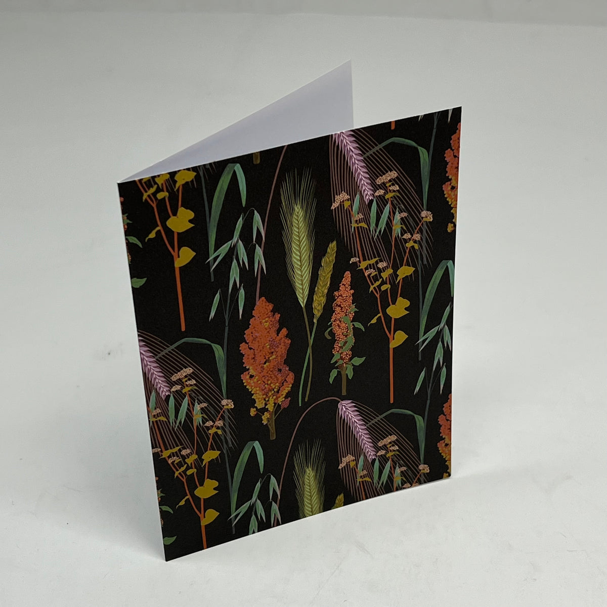 POMEGRANATE (16 PACK) Kate Blairstone Notecards In Slipcase Box 4x6" BX800