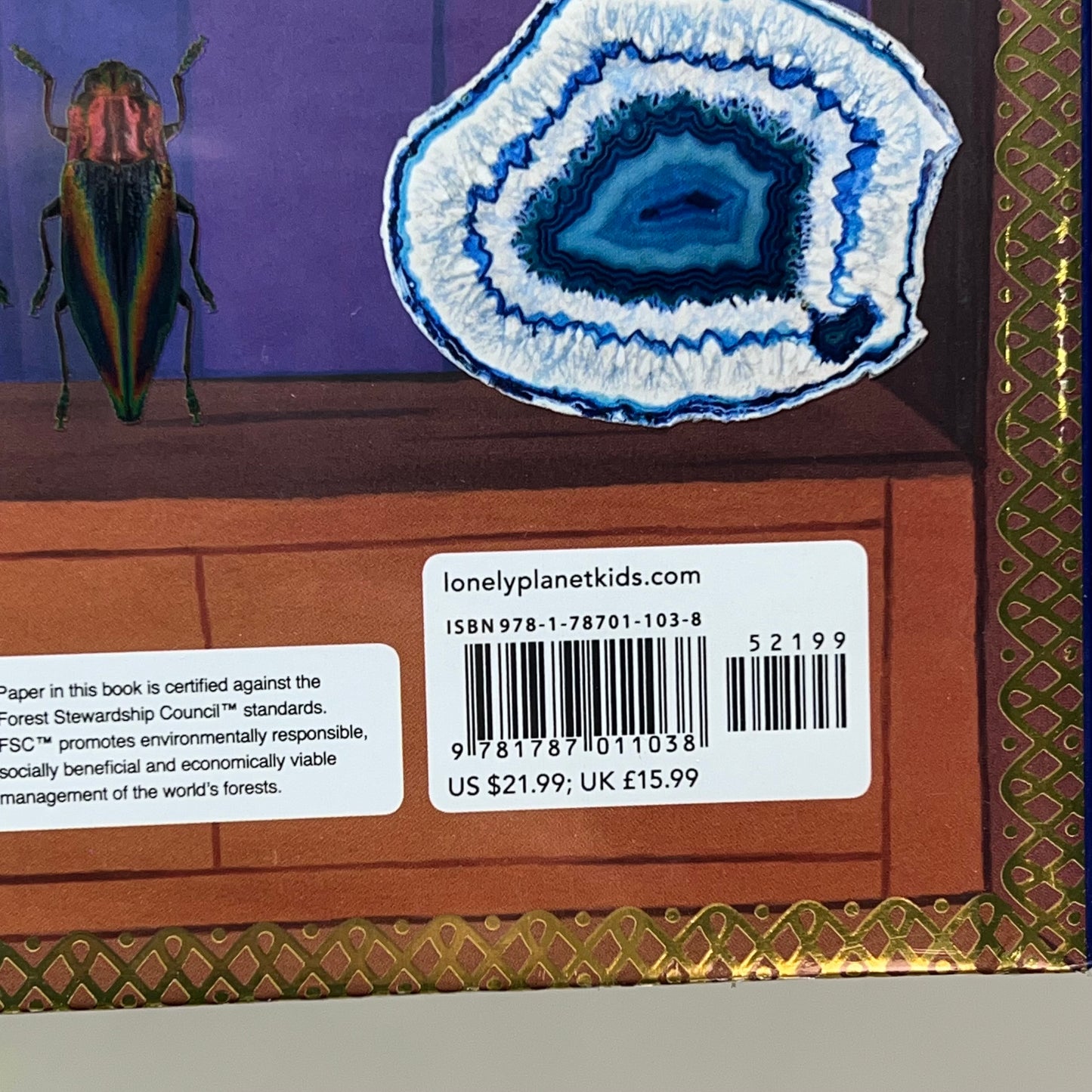 THE INCREDIBLE CABINET OF WONDERS Hardcover By Lonely Planet Kids & Joe Fullman