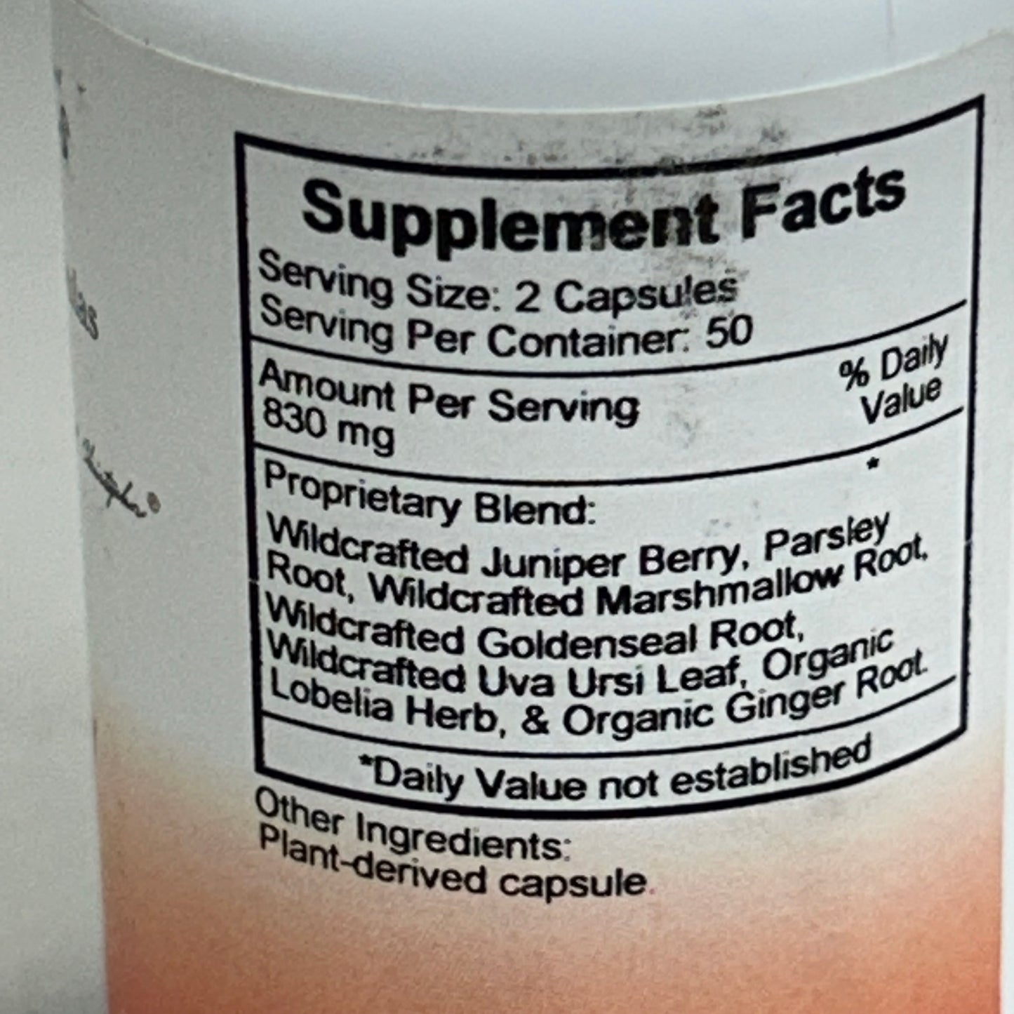 DR. CHRISTOPHER'S (2 Pack, 100 Capsules Each) Original Kidney Formula Herbal Supplement  415mg per Capsule 89104