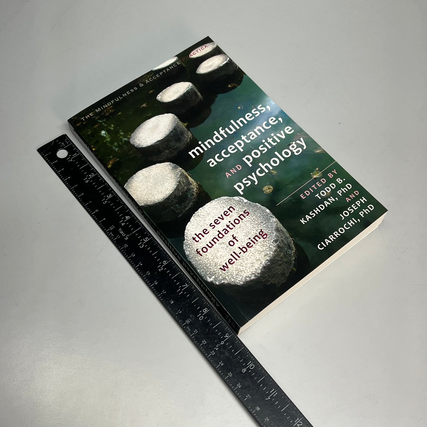 MINDFULNESS, ACCEPTANCE & POSTIVE PSYCHOLOGY Book Edited By Todd B & Joseph