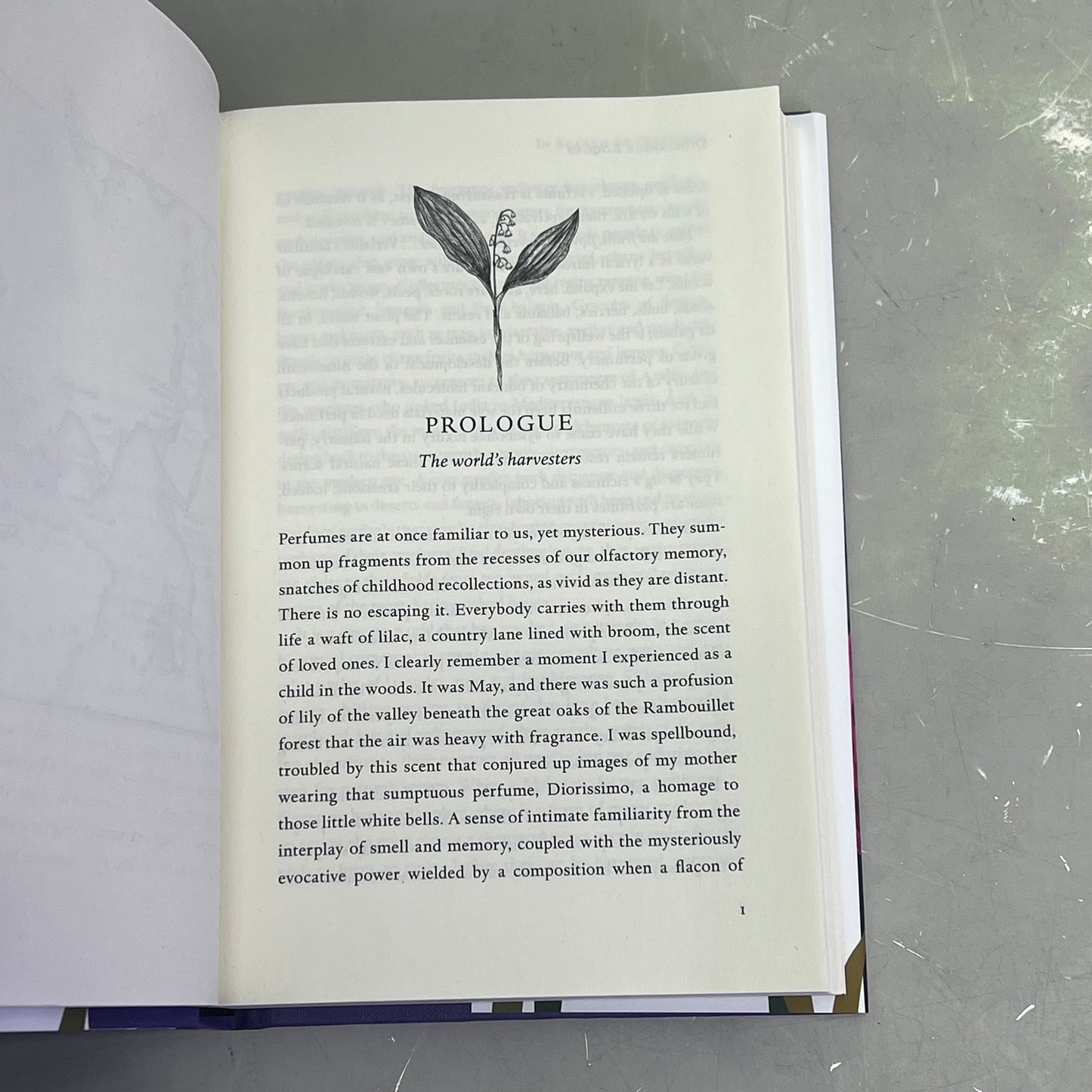 IN SEARCH OF PERFUMES Journey To Natures Scents Hardback Book Dominique Roques