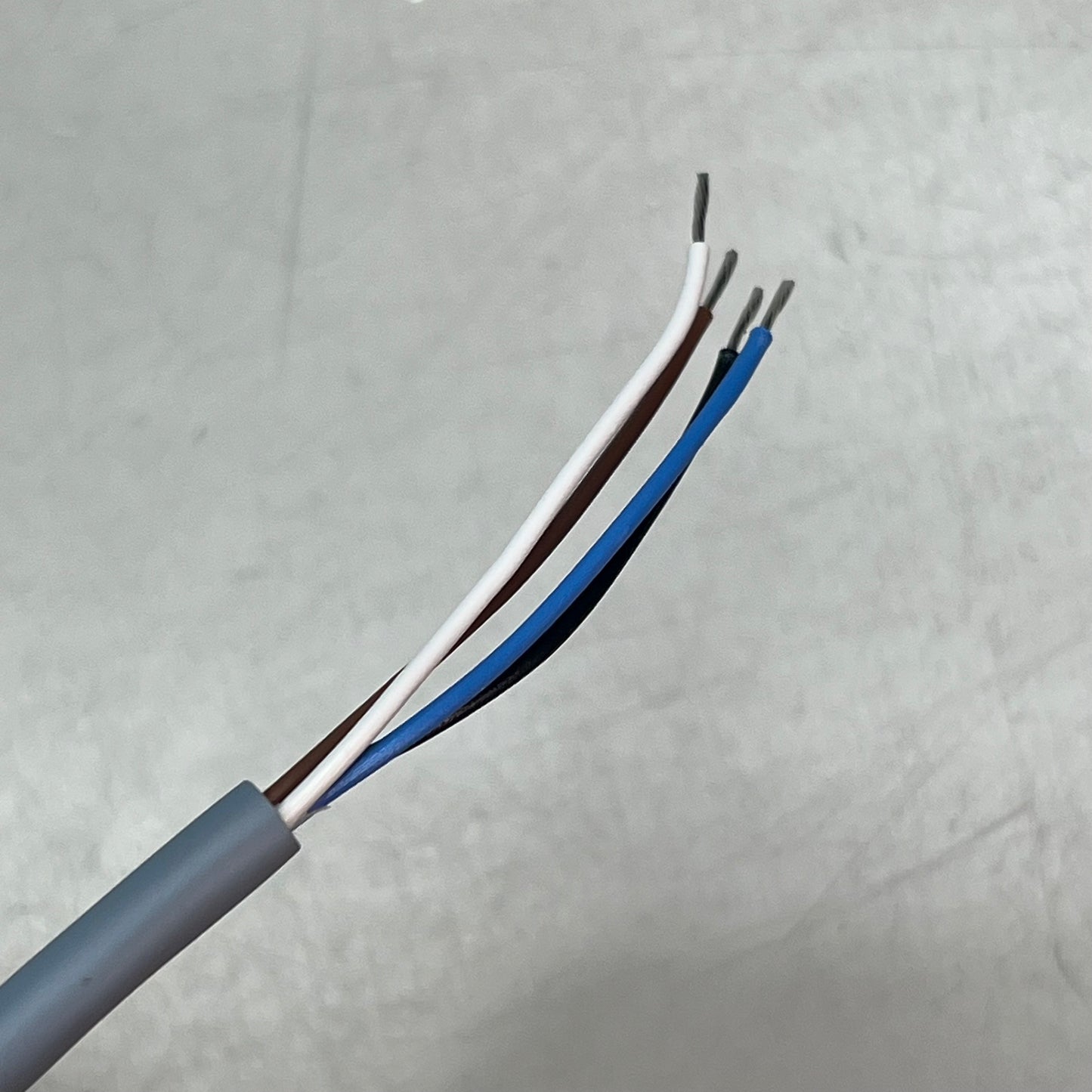 TURCK Actuator & Sensor Cable Instrumentation Tray M12, Female & 4-pin RK 4.4T-2