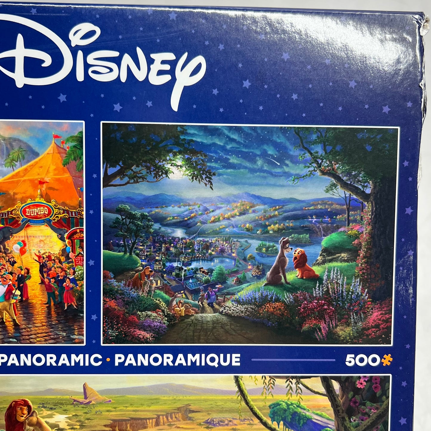 ZA@ DISNEY Multiple Panoramic Jigsaw Puzzle Of Disney Scenes 300, 500 & 700 Piece 1124-3 (As-Is - Damaged Back of Box)