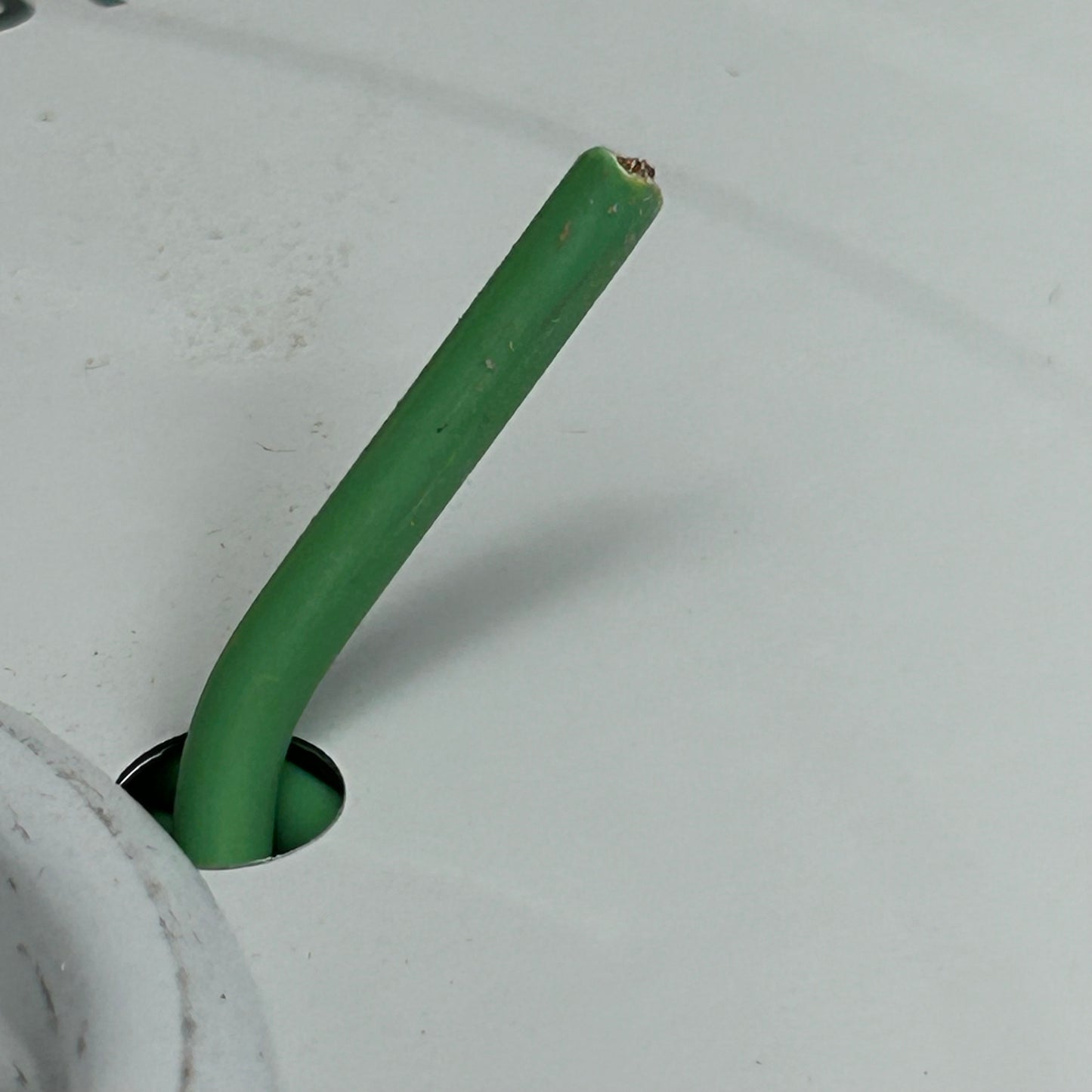 IEWC Stranded Bare Copper Primary Insulated Wire 2,000' (New Other-Slightly Damaged) Light Green SXL14-W