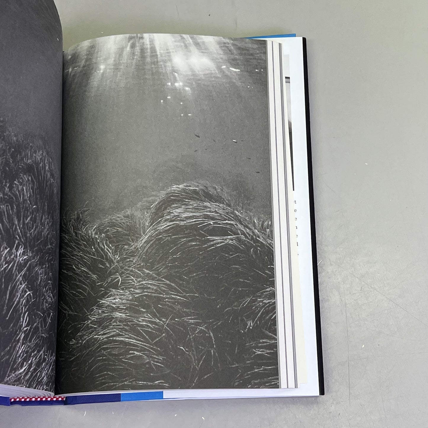 THE CLIMATE BOOK  Climatology The Facts & Solutions By Greta Thunberg Hardback