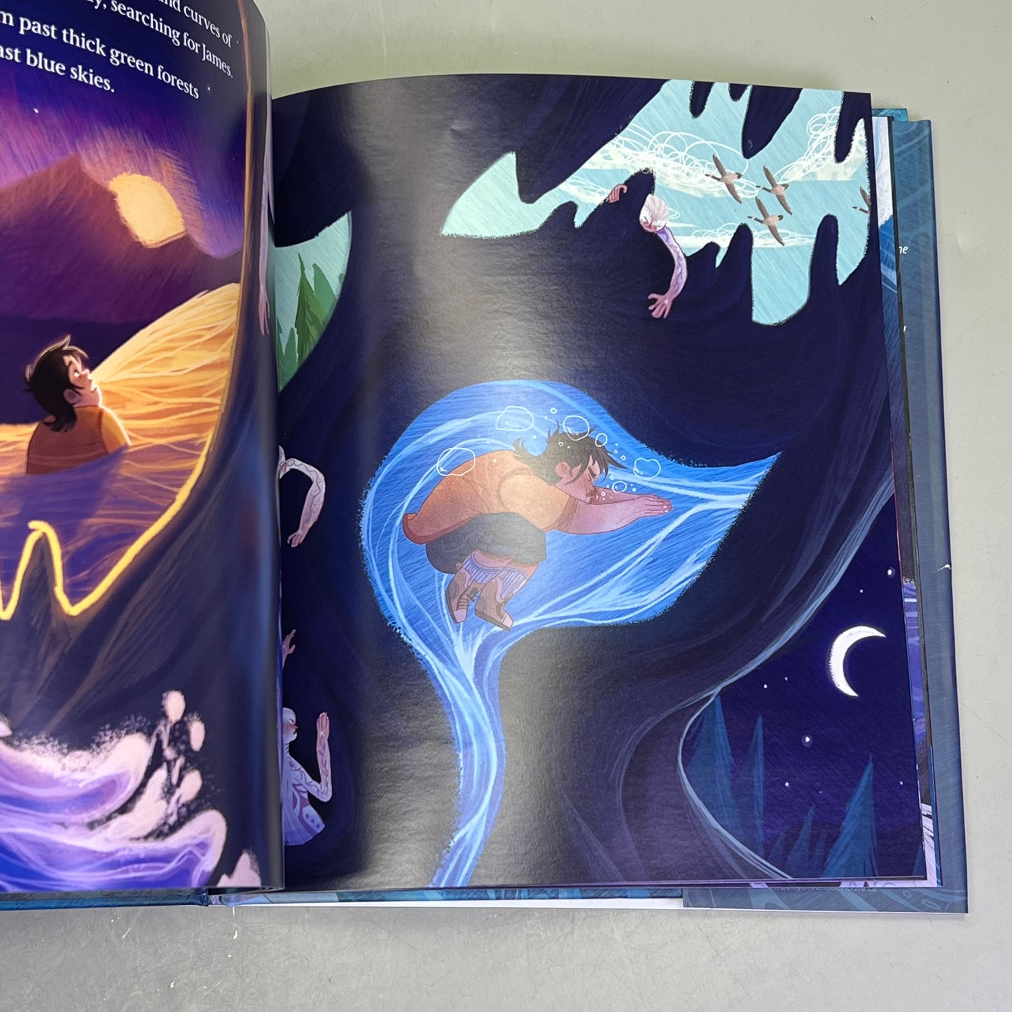 THE SONG THAT CALLED THEM HOME Hardcover Picture Book By David A. Robertson