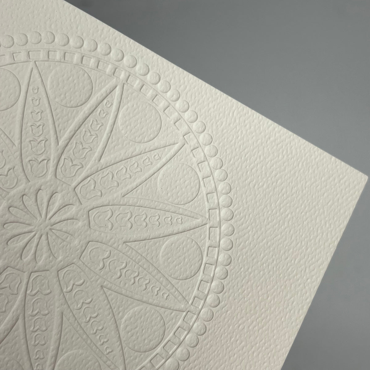 POMEGRANTE (20 PACK) Louis Sullivan Designs Embossed Boxed Notecard 4x6" White