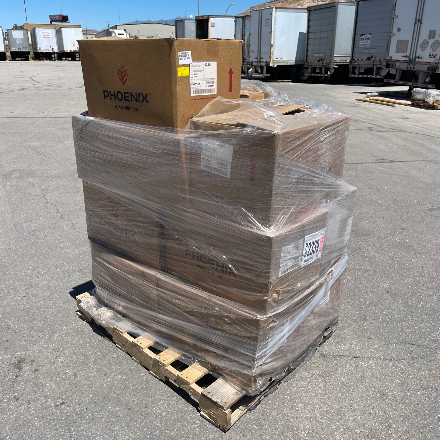 ZA@ Pallet of PHOENIX Safety Lids for Medicine Bottles White 045CRCSTPTA (New)(B)