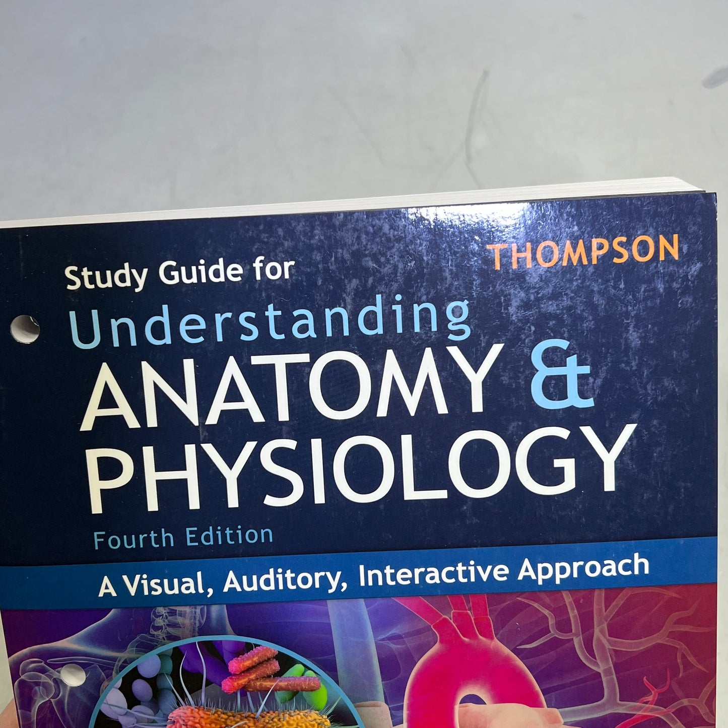 STUDY GUIDE FOR UNDERSTANDING ANATOMY & PHYSIUOLOGY 4TH ED Paperback Book