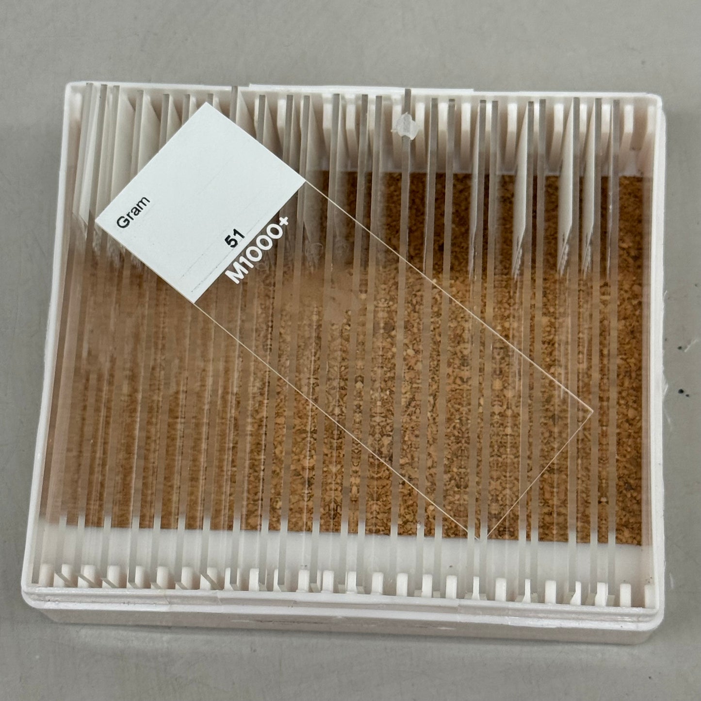 STATLAB (25 Pack) Gram Stain +/- Control Slides For Medical Use 80857H BB:12/26