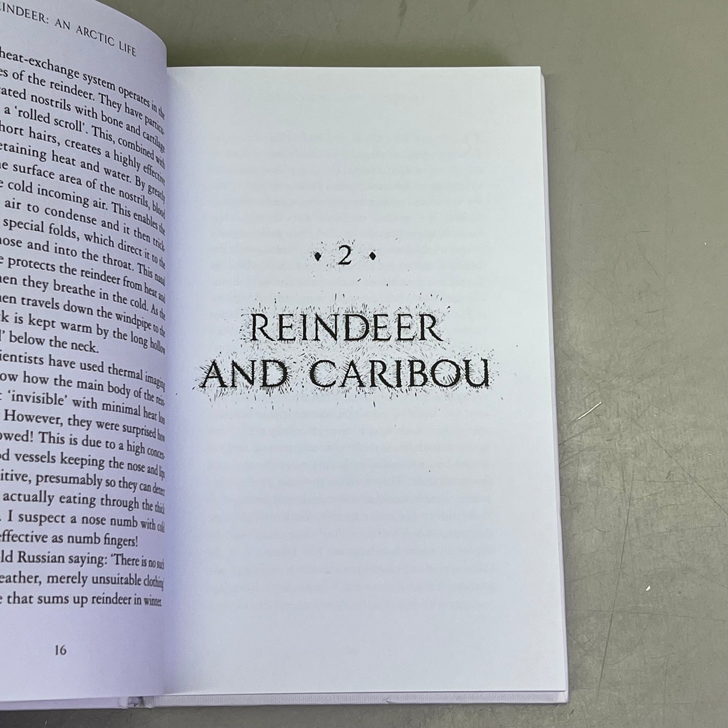 REINDEER AN ARCTIC LIFE  Natural History & Biology Hardback Book By Tilly Smith