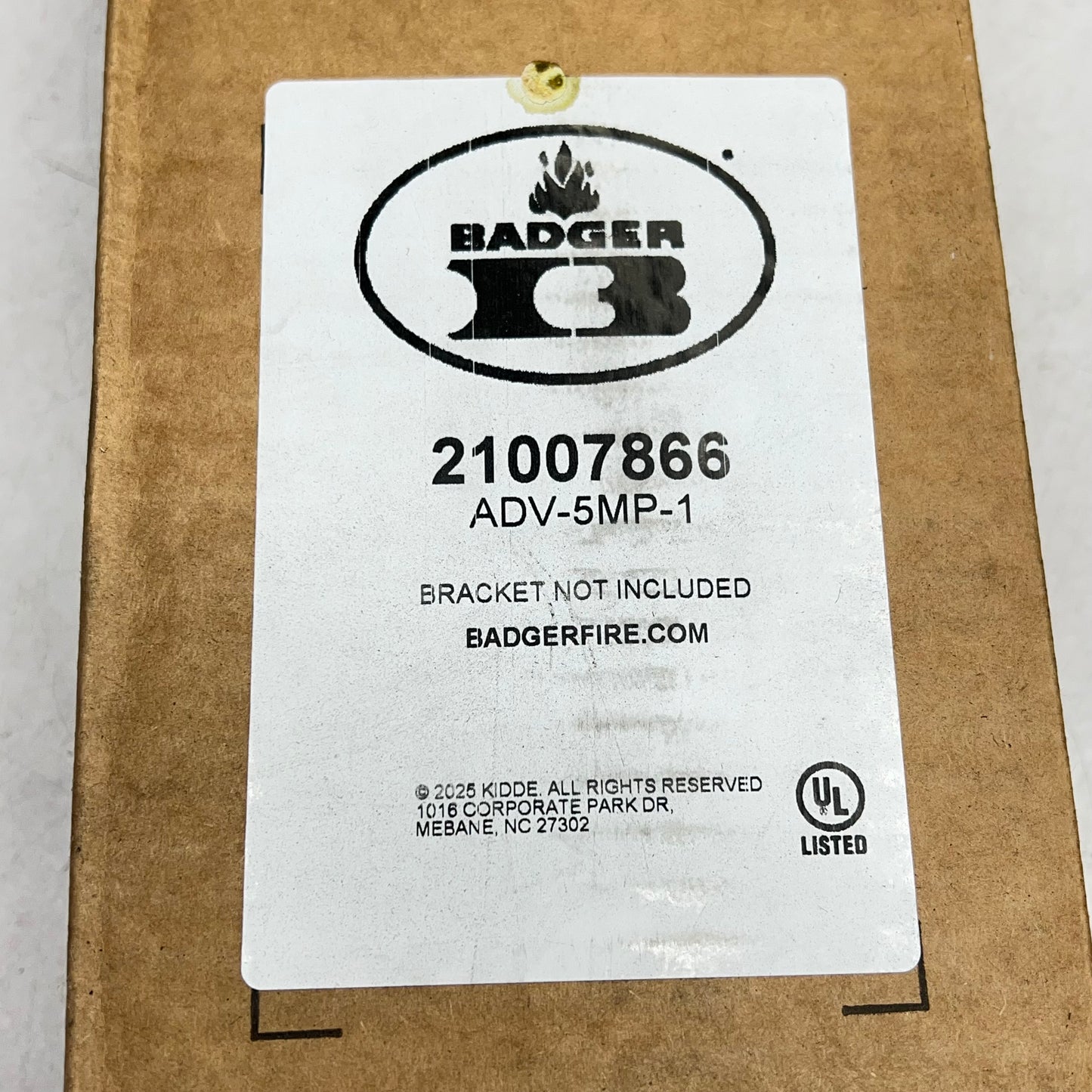 BADGER FIRE PROTECTION Dry Chemical Portable Advance Fire Extinguisher  21007866