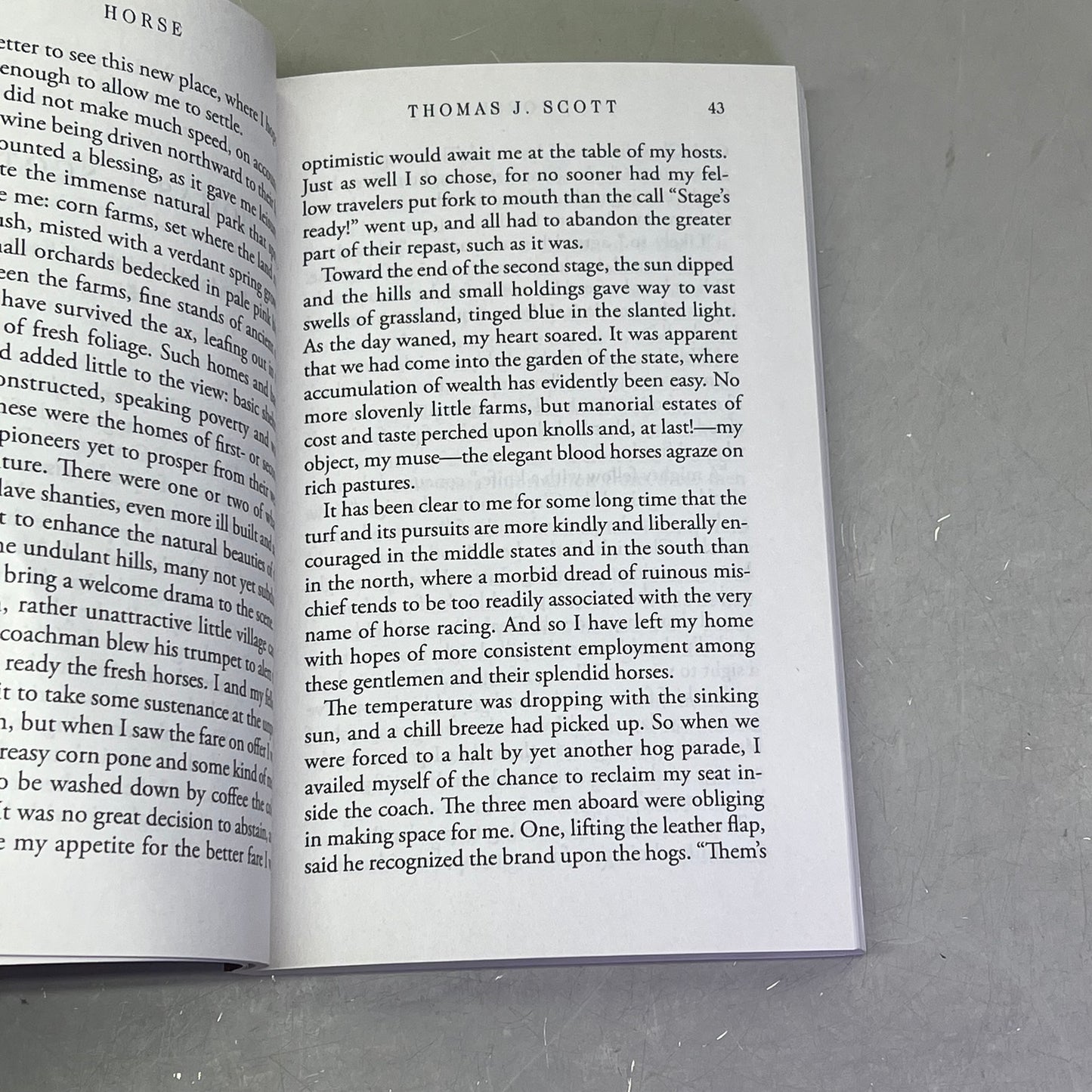 HORSE Animal Fiction Novel By Geraldine Brooks Paper Back Book Large Print