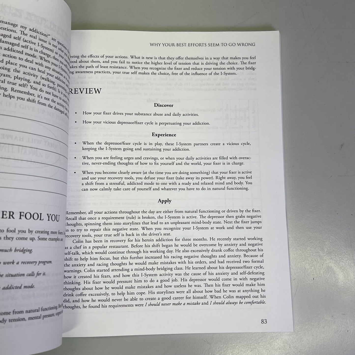 MIND-BODY WORKBOOK FOR ADDICTION Effective Tools Substance Abuse Recovery Book