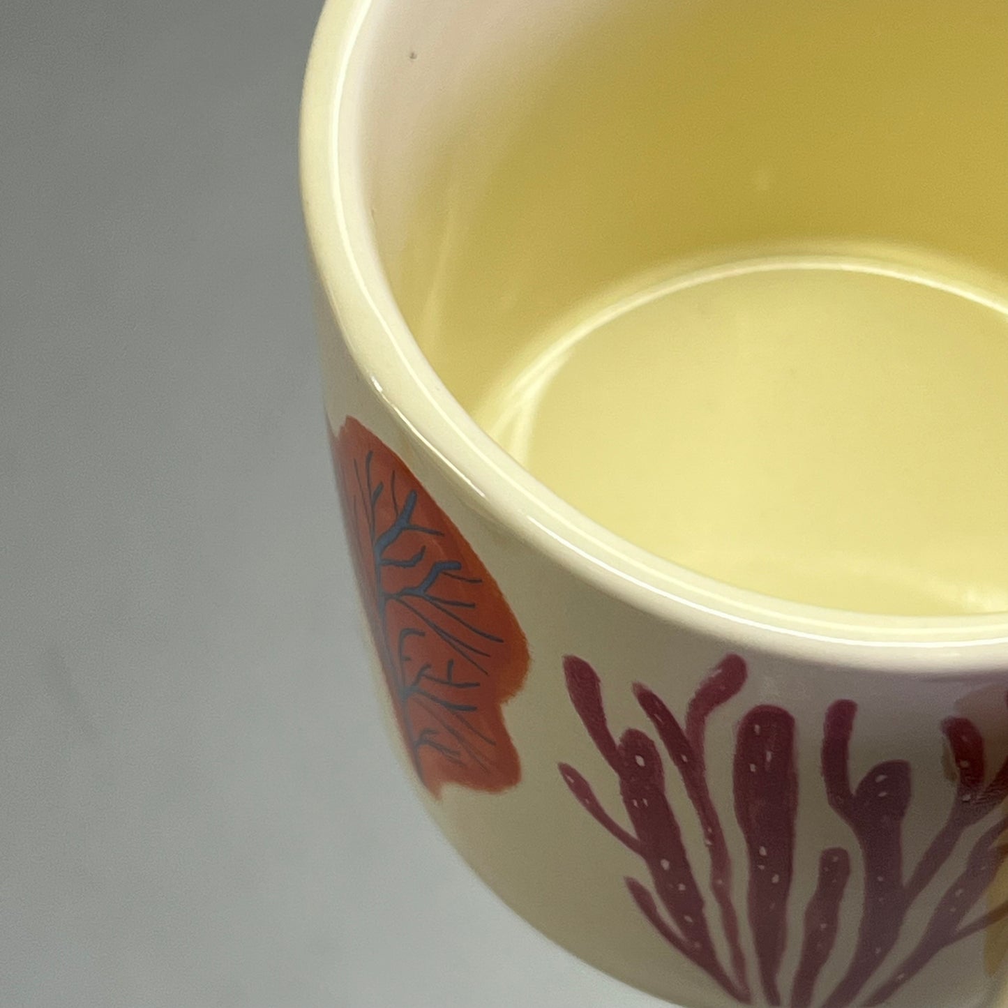 DANICA STUDIO (3 PACK) Stoneware Neptune Midi Studio Mug 11oz Multicolor 7002685