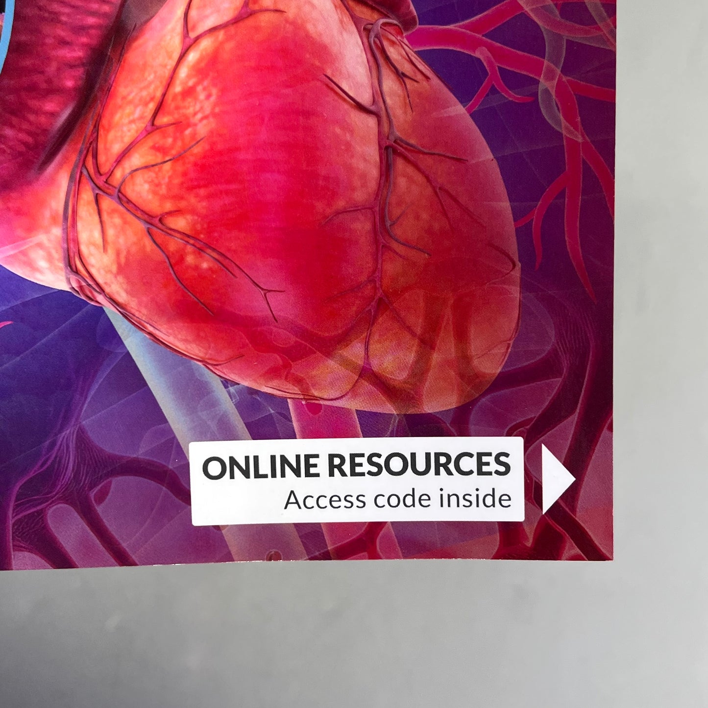 UNDERSTANDING ANATOMY & PHYSIOLOGY 4th Edition Paperback Book F.A. DAVIS