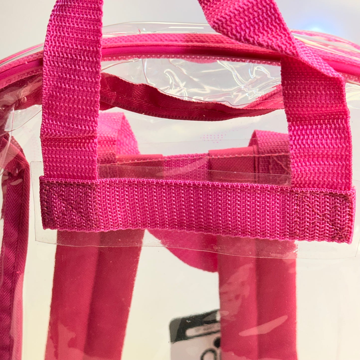 BWAP 17" Clear Plastic Backpack 17" x 12" x 6" Color Pink BP1643