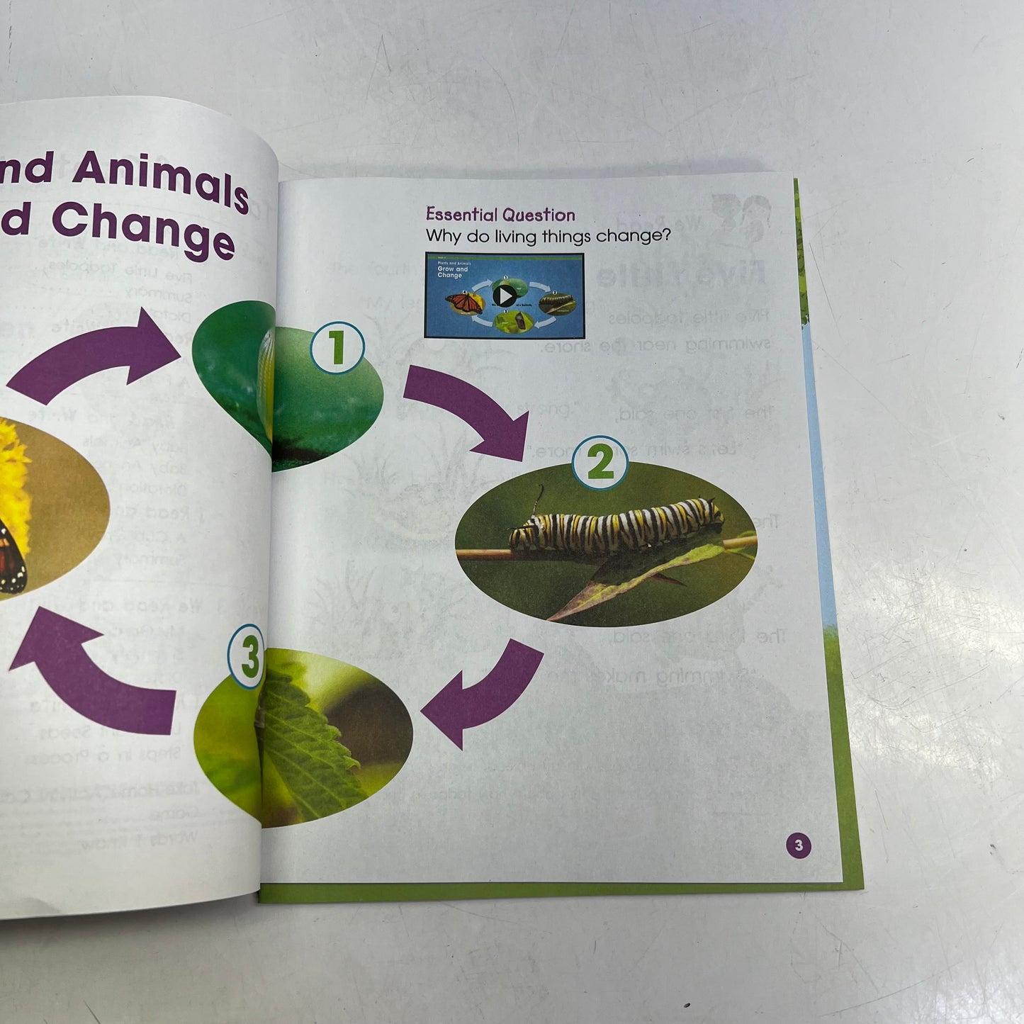 BENCHMARK Phonics & Word Study 2nd Ed Gr1 Student 5 Copy Print & Digital WH13788