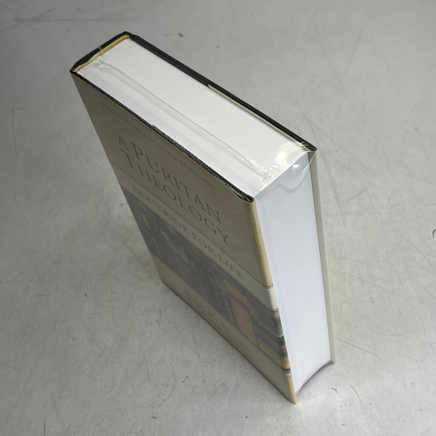 A PURITAN THEOLOGY Doctrine for Life by Joel R. Beeke & Mark Jones Hardback Book