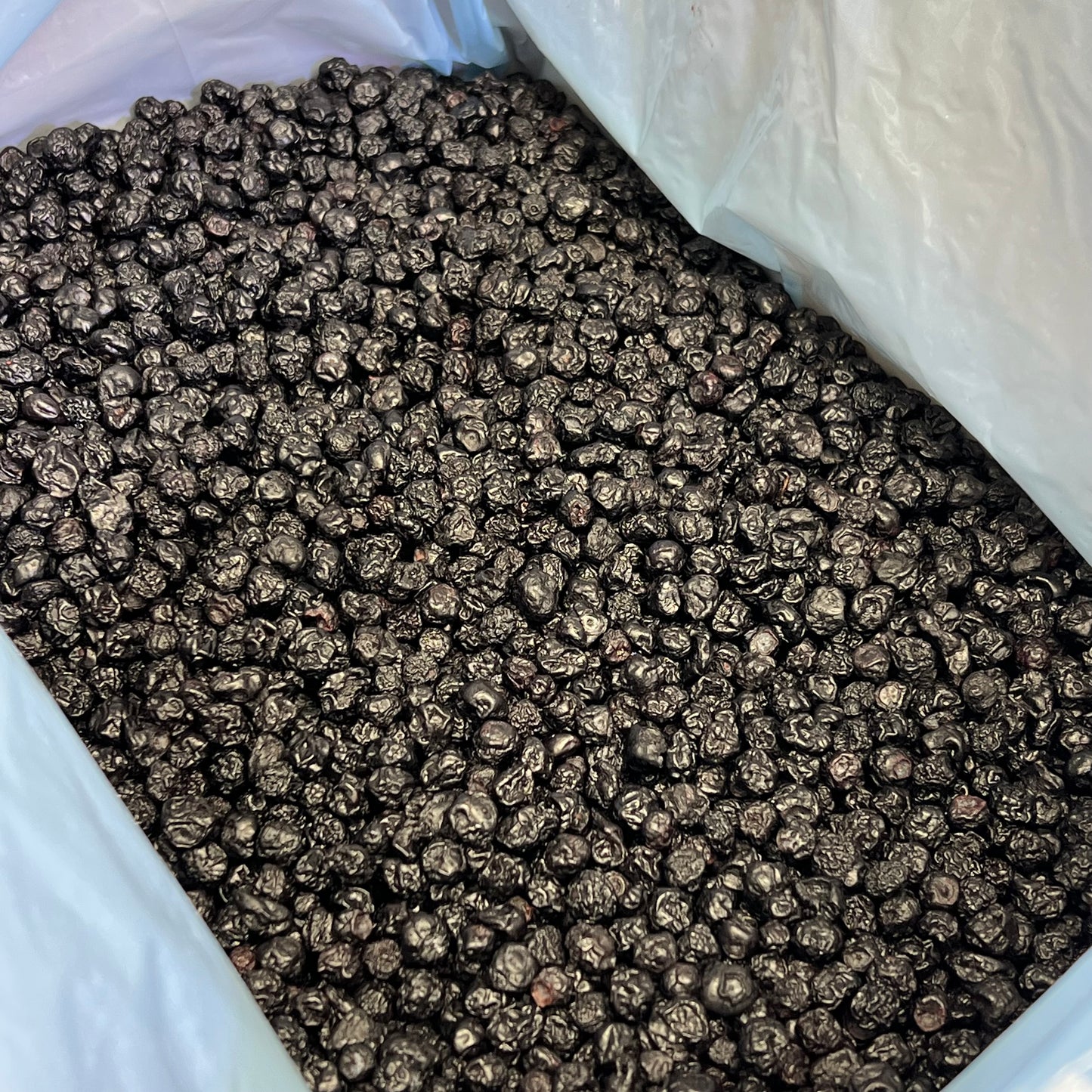 MEDURI FARMS (25 LBS BOX) Plump Dried Blueberries For Cooking/Baking BB 05/|26